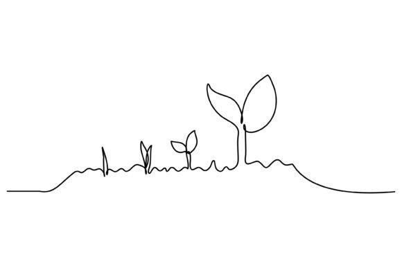 Continuous Line Design of Plant Graphics and Illustrations