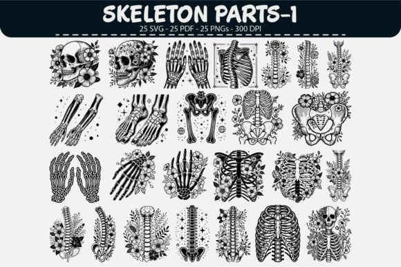 Skeleton Parts Vector Clipart: 25 Graphics & Illustrations