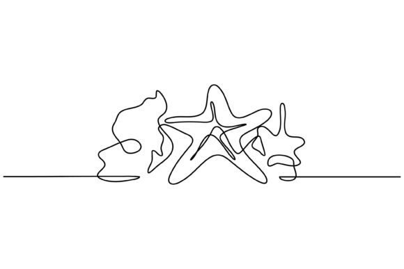 Star Fish Graphics & Illustrations Review